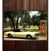 Металлическая табличка Chevrolet Camaro RS (I)